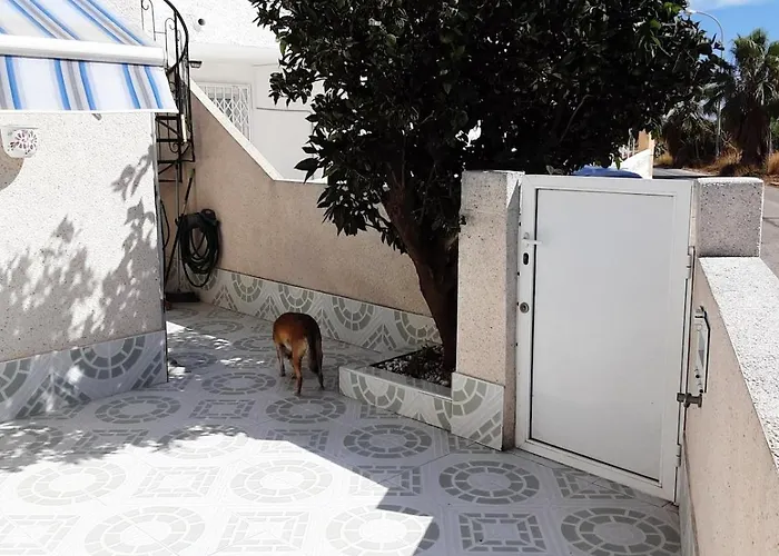 Apartment Hogar Del Corazon Torrevieja