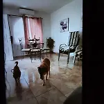 Apartment Hogar Del Corazon