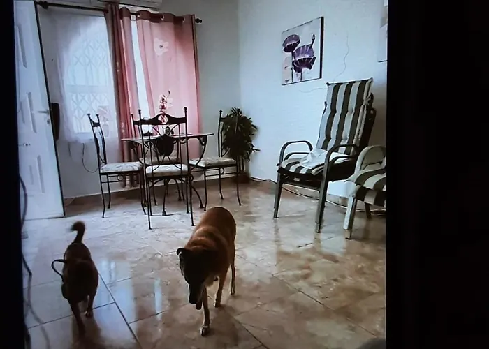 公寓 Hogar Del Corazon